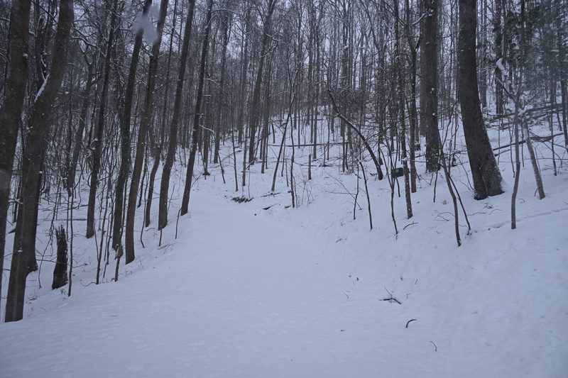 DSC_0217.JPG